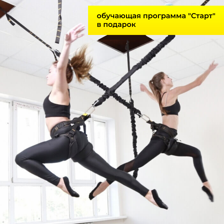 Купить Bungee Fitness PRO - Комплект